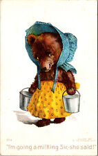 Bear Milk Bonnet Anthropomorphic Rose Clark Rotograph Co Posted Antique Postcard picture