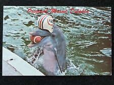 Miami Florida FL Dolphin Football Mascot 1975 Antique Photo Postcard picture