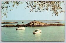 View Of Bay Glen Island Park Westchester County NY Vintage Postcard Unposted picture