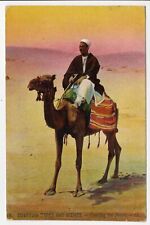 Crossing the Desert Camel Posted 1909 Egypt to New Jersey Postcard picture