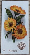 1895 AH801 Church & Co Arm & Hammer Beautiful Flowers Marigold Trade Card #58 picture
