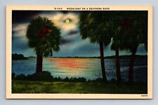 Moonlight on a Southern River Palm Trees Postcard picture