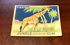 R78 World Wide Gum JUNGLE GUM 1930 #1 Giraffe (First Card in Set) picture