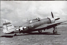 WWII USAAF Aircraft Photo Republic P-47 Thunderbolt Miss Mary Lou 19FS 318FG PTO picture