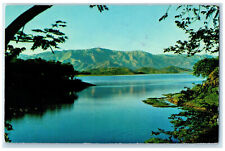 c1960's Scene at Valencia Lake Landscape Venezuela Vintage Posted Postcard picture