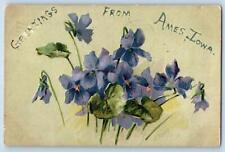 Ames Iowa IA Postcard Greetings Embossed Flowers And Leaves Scene 1907 Antique picture