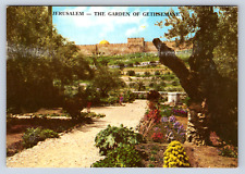 Vintage Postcard Jerusalem Garden of Gethsemane picture