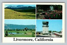 Livermore CA-California Cattle Grazing in Shadow Mt Diablo Vintage Postcard picture