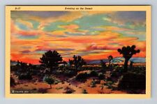 Scenic Panoramic View Desert Evening Antique Souvenir Vintage Postcard picture