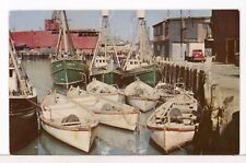 1950s - Part of Gloucester's Famous Fishing Fleet, Cape Ann MA Boats Postcard picture