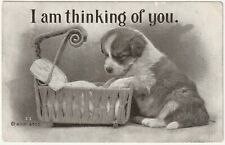 Vintage Postcard Puppy Dog Bassinet 