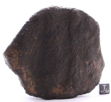 Meteorite NWA 15581 CK5 Carbonaceous chondrite meteorite, 408 grams picture
