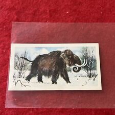 1971 Brooke Bond “Prehistoric Animals” MAMMUTHUS (Wooly Mammoth) Card #46  EX-NM picture