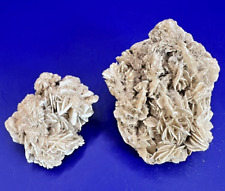 2 small Mineral specimens of Desert Rose (Gypsum), Selenite, Satin Spar. picture