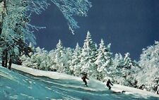 Postcard VT Stratton Mountain North America Trail Skiing Chrome Vintage PC J2610 picture