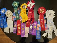 Colorful Lot of Horse Show Ribbons Equestrian Awards  picture