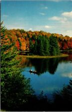 Autumn on Turtle Lake Schoolcraft County Michigan Vintage Postcard  picture