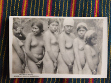 Argentina Chaco nude native girls in lineup Postcard picture