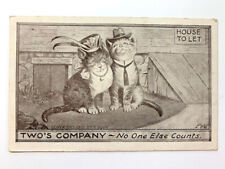 Antique Postcard, c1910, Two's Company, Cats, F. Bluh, Stamped, Vintage, F&W picture