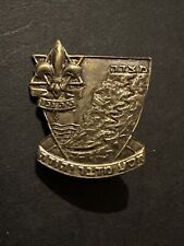 Vintage International Boy Scout Pin (Israeli)? fleur de lis picture