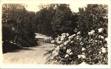 WINDING ROAD antique real photo postcard rppc BERLIN NEW YORK NY 1910s picture