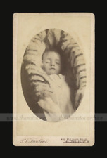 CDV: Post Mortem Child in Covered Coffin Antique Photo Victorian Mourning picture