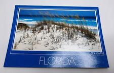 Florida, FL Postcard Sea Oats Beach, Waves, Unposted  picture