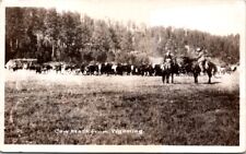Vintage RPPC Postcard Cowboys on Horseback & Cattle Cows Wyoming WY 1937    T719 picture