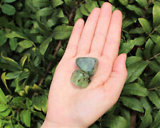 2 Large Prehnite with Epidote Tumble Stone (Crystal Healing Reiki Tumbled)  picture