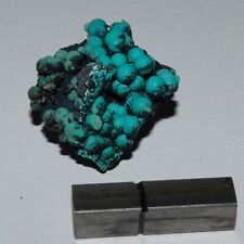 Chrysocolla - Planet Mine - Thumbnail Specimen. 2.5cm PM-02 picture