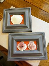 Two Handcrafted Scallop & Sand Dollar Shells Mounted In Grey Frames picture