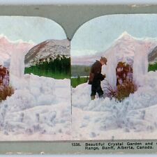 c1900s Banff, Alberta, Canada Crystal Garden Cascade Litho Photo Stereo Card V10 picture