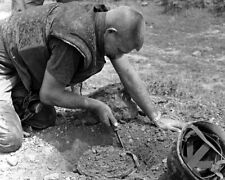 U.S. Marine digs out enemy mine near Dong Ha 8x10 Vietnam War Photo 789 picture