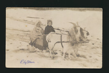 1910 era REAL PHOTO POSTCARD CUTE KIDS CHILD'S SLEIGH GOAT HITCH TEAM ELY MN WOW picture