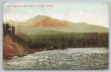 Scene on the Upper Columbia River Oregon Washington 1909 DB Postcard - Posted picture