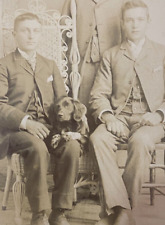 3 Men and Dog Cabinet Card Photograph Spaniel / Irish Setter? Antique 1880 Photo picture