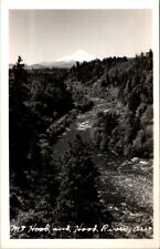Vintage RPPC Postcard View of Mount Hood and the Hood River Oregon         11784 picture