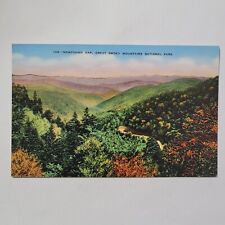 Newfound Gap Great Smoky Mountains Park TN Tennessee Vintage Linen Postcard picture