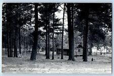 Deer River MN Postcard RPPC Photo Cabins At Pine Grove Lodge Sand Lake 1956 picture