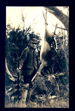 c.1901-07 RPPC Photograph Postcard - Man with Rifle and Deer Kill Hunting picture