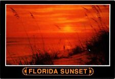 Florida Postcard: Florida Sunset picture