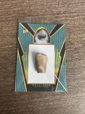 2023 Pieces Of The Past One Time Megalodon Tooth Authentic Fossil Relic picture
