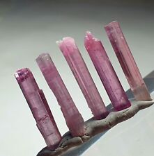 14.90ct Pink Tourmaline Crystal Lot Beautiful Natural Saturated from Afghanistan picture