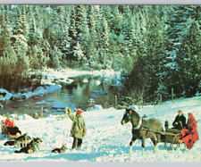 Jingle Bells Sleighride Dog Sled, Horse & Sleigh 1960s Vintage Postcard Unposted picture