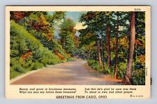Cadiz OH-Ohio, General Greeting, Scenic Country View, Vintage Souvenir Postcard picture
