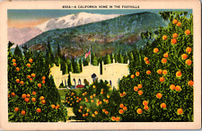 Vintage 1930's Through Orange Trees California Home in the Foothills CA Postcard picture