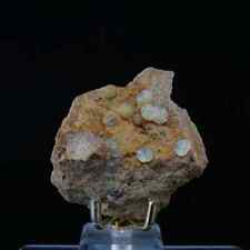 Wavelite / 6.7 Rare Mineral Specimen / From Lime Ridge, Pennsylvania picture
