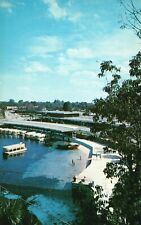 Vintage Postcard Bathing Beach Boat Docks Near Friendly Ocala Silver Springs Fla picture