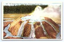 Postcard The Sponge Upper Geyser Basin Yellowstone National Park c.1930 picture