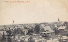 UP Manistique MI a BIRDSEYE PRINTED View Schoolcraft Co. Town on Lake Michigan picture